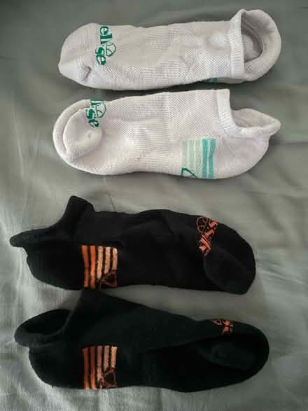 Photo of free Trainer socks 4-8 (Wickwar GL12) #1