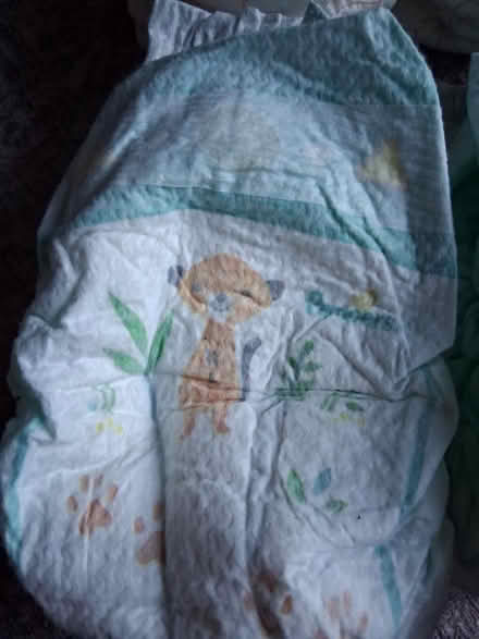 Photo of free Nappies size 6 (Bristol BS15) #3