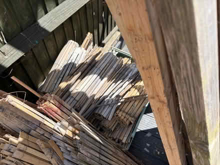 Photo of free Wood for fire pit (Gorleston NR31) #3