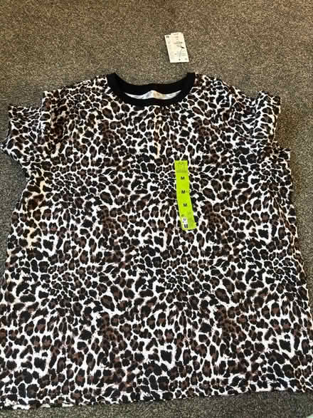 Photo of free T shirt (Axminster) #1