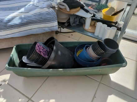 Photo of free Assorted plastic plant pots (Broadstairs CT10) #1