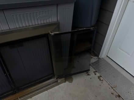 Photo of free Fireplace doors with screen (Mundelein IL) #2