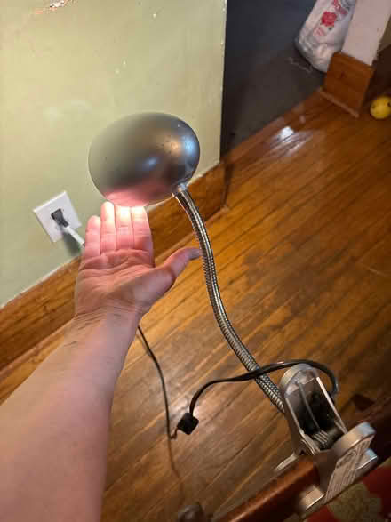 Photo of free Clip on light (Main/Danforth) #1