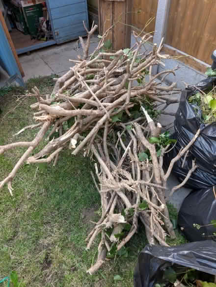 Photo of free wood (High Barnet) #1