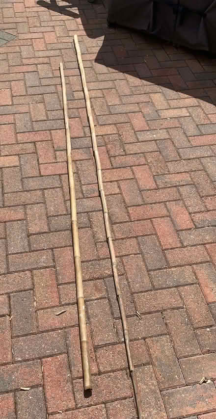 Photo of free Two Thick Bamboo Poles (Shevington Vale WN6) #1