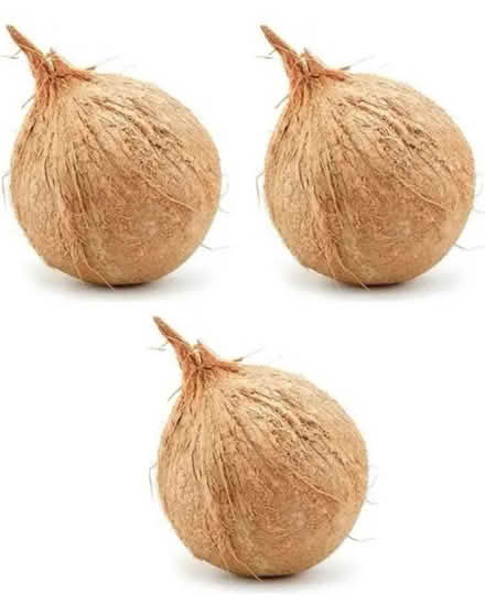 Photo of Coconut shells for School Fair (SE16) #1