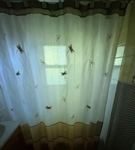 Photo of free Dragonfly shower curtain + (Croton-on-Hudson) #1
