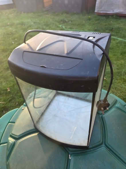 Photo of free Aqua One as a vivarium. (Willey Green GU3) #2