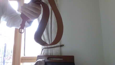 Photo of free Belt (NW11 9AF) #1
