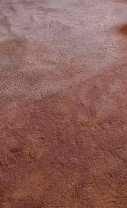 Photo of free Carpet (RG4) #1