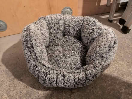 Photo of free Cat bed (West Malvern CP WR14) #1