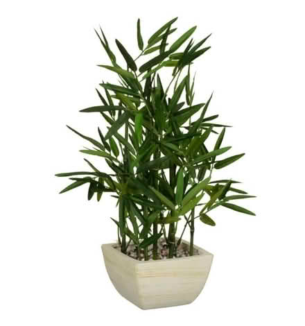 Photo of Small medium size faux bamboo plant (Heckmondwike) #1