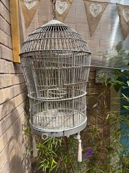 Photo of free Bird Cage (Presteigne LD8) #1