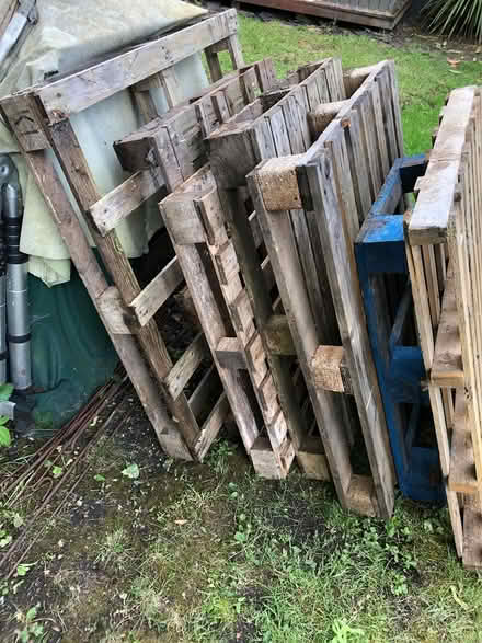 Photo of free Pallets (Farnborough GU14 0ED) #1