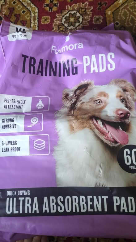 Photo of free Puppy pads (CM15 Shenfield) #1