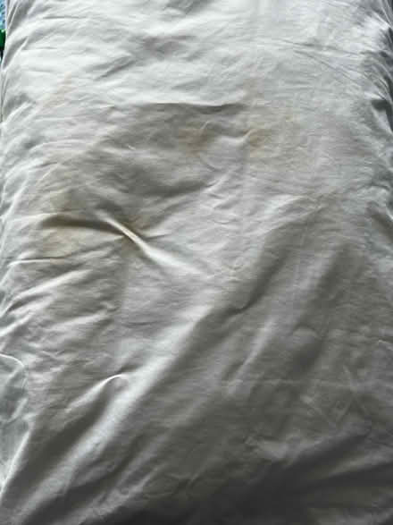 Photo of free 2 x Old pillows - pets or crafting (Tottenham, N17) #2