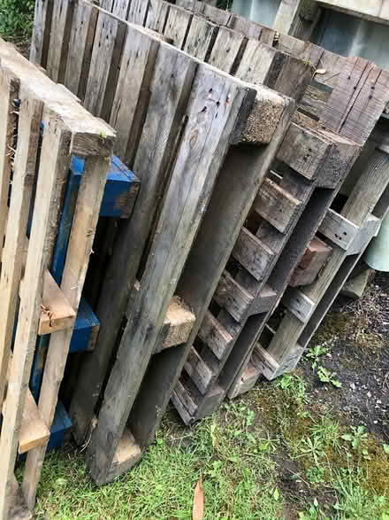 Photo of free Pallets (Farnborough GU14 0ED) #3