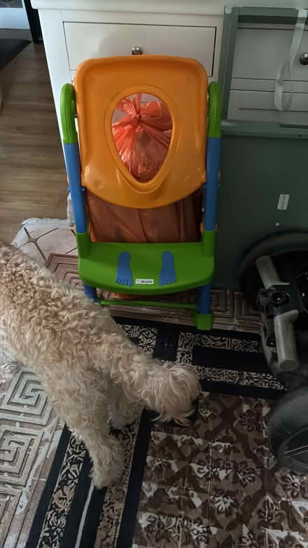 Photo of free High chair and toilet training step. (Dagenham RM9) #1