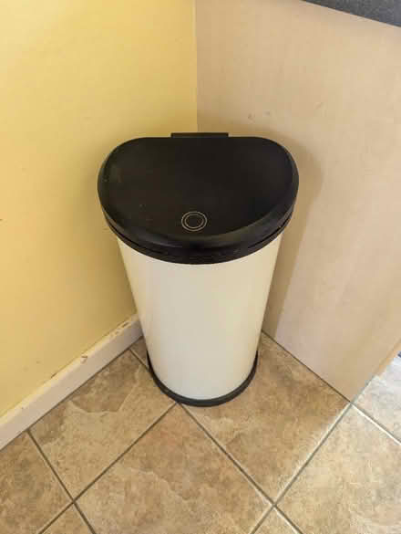 Photo of free Large kitchen rubbish bin (Norbury sw16) #2
