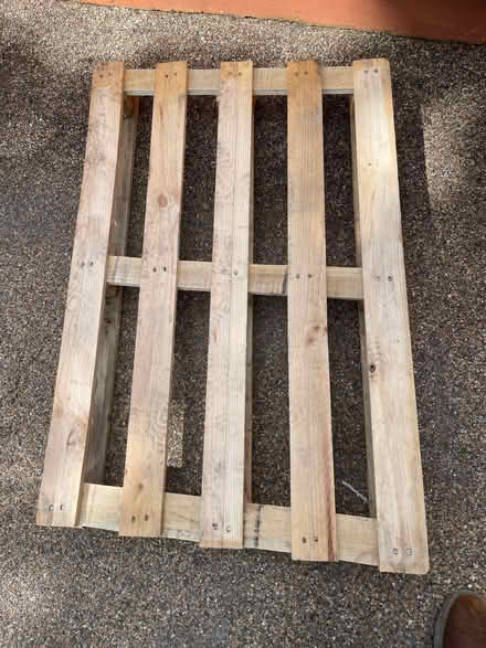 Photo of free Pallet (Roundhay LS8) #1