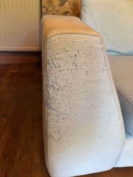 Photo of free Corner sofa (Queen's Park BN2) #3