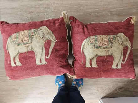 Photo of free Two large cushions (Hinton Waldrist SN7) #1