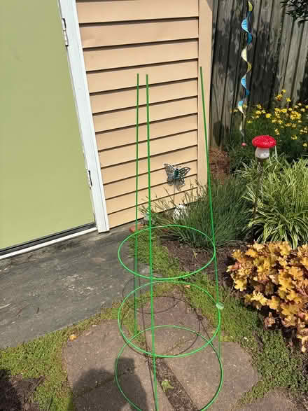 Photo of free Tomato cage (Amber meadows 21702) #1