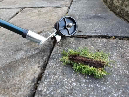 Photo of free Weeding tool (Stubbington PO14) #2