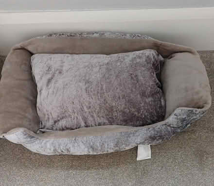 Photo of free Silver Grey plush dog bed (Wallasey CH45) #1