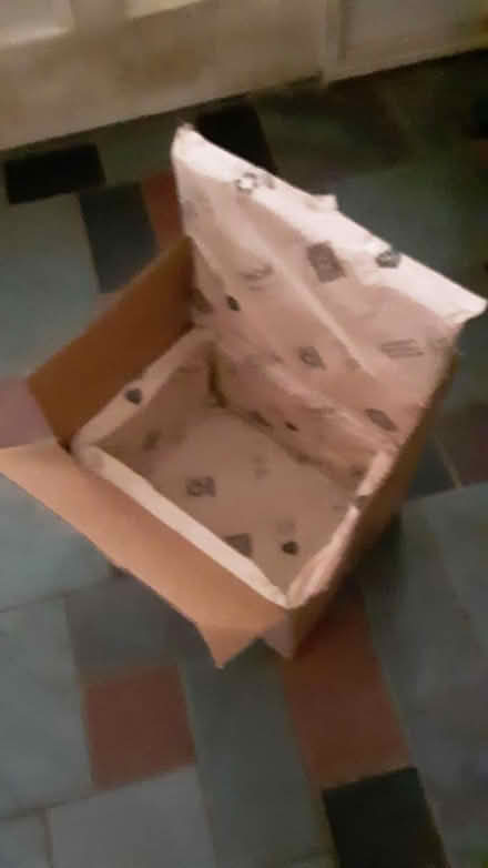 Photo of free Padded/insulated cardboard box (NE Ann Arbor) #1