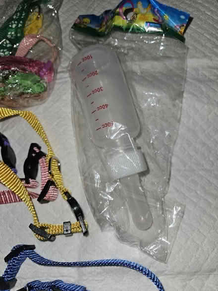 Photo of free Multi Coloured Puppy collars and a Feeding Bottle. (Queenstown FY1) #2