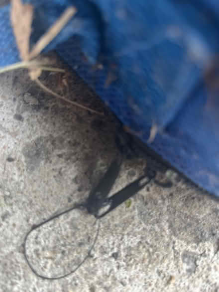 Photo of free Badminton Set (Chapel Hill South) #2