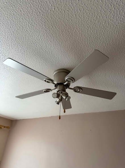 Photo of free Ceiling fans (M5 5qz) #3