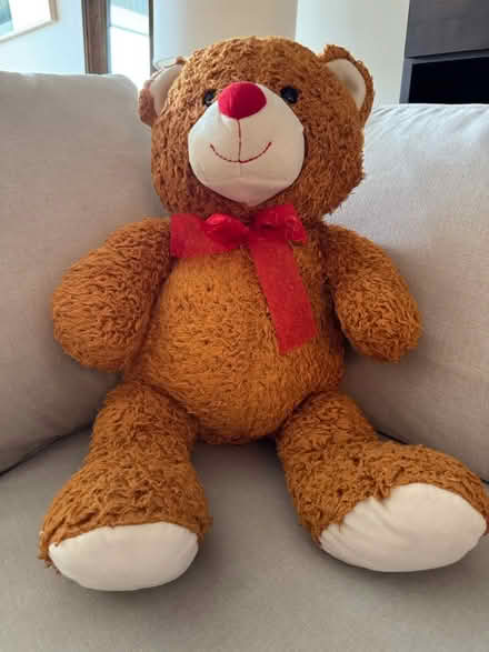 Photo of free Teddy Bear (Murray Hill, Manhattan) #1