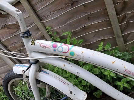Photo of free Girls bike needs work (Donnington Bridge OX4) #3