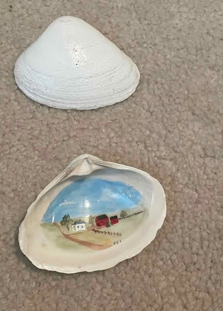 Photo of free Painted shells (Milton - Thompson and Derry) #3