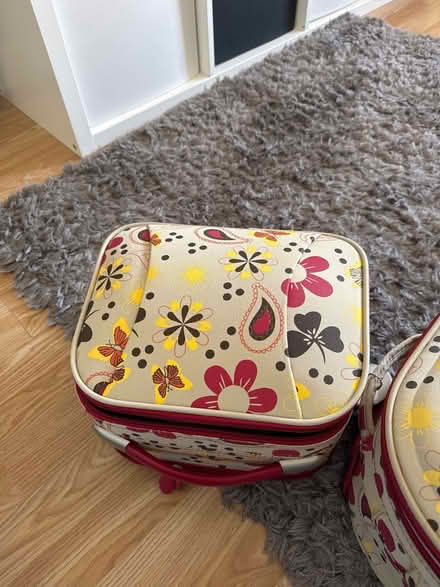 Photo of free Suitcase&matching vanity case (Oxley, Wolverhampton, WV10) #1