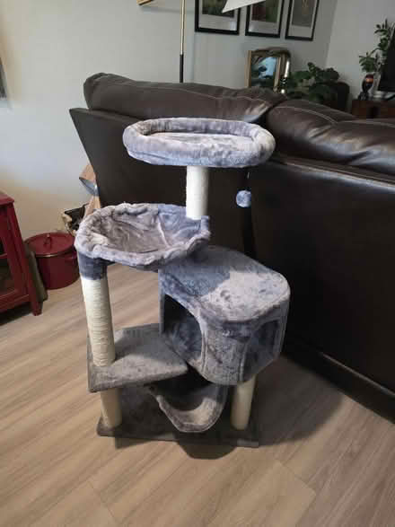 Photo of free Unused Cat Tree (Central Phoenix) #1