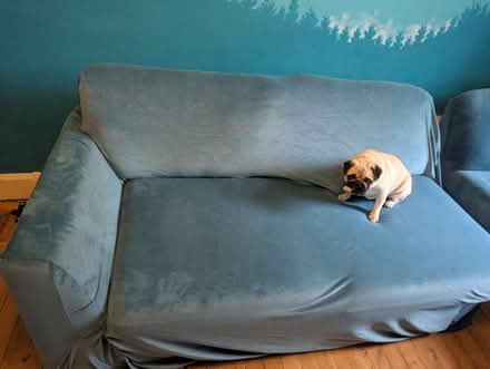 Photo of free Corner sofa (Maryhill, Glasgow G20) #3