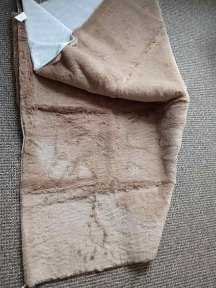 Photo of free Silky carpet (Willesborough) #1