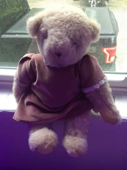 Photo of free Teddy bear (Brighten village drive) #2