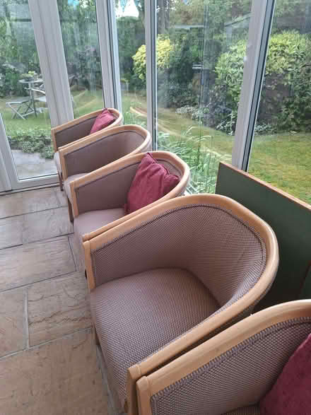 Photo of free 8 Chairs (Hellesdon NR6) #2