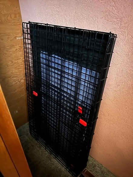 Photo of free cat tree & XL dog kennel (Shooks Run) #2