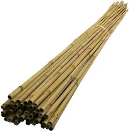 Photo of Garden canes (Shrewsbury SY2) #1