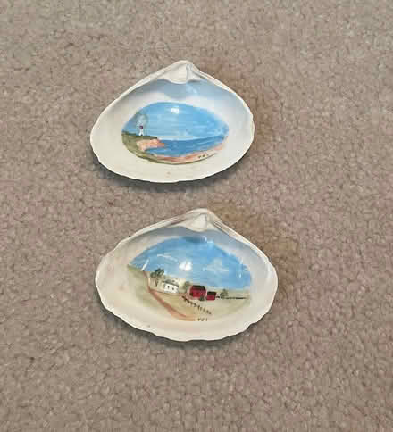 Photo of free Painted shells (Milton - Thompson and Derry) #1