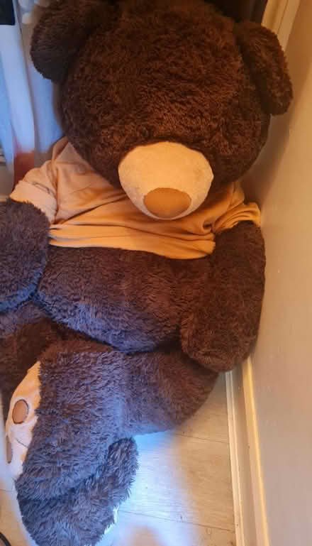 Photo of free Huge Teddy bear ๐งธ (Harlesden) #2