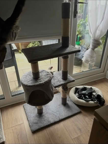Photo of free Med size unit + cat tree (Dunlaoghaire) #2