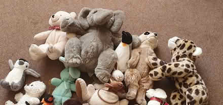 Photo of free Cuddly Toys (Westborough GU2) #1