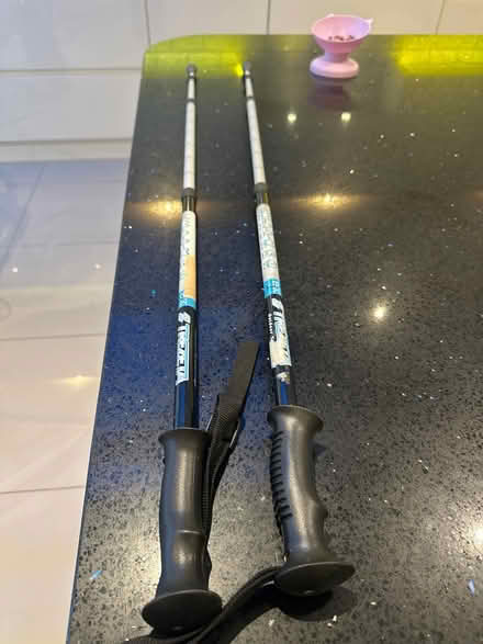 Photo of free Hiking sticks (High Wycombe HP11) #1