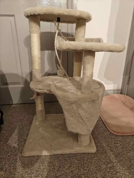 Photo of free Cat tree (Central Derby DE1) #1